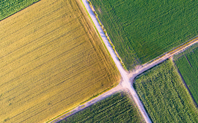 Échange de jouissance de parcelles agricoles : quelles sont les règles ?