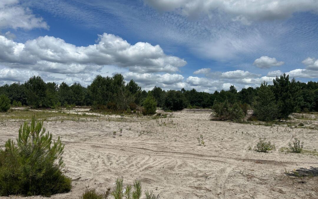 Vente Terrain – à Mios – Gironde (33380)